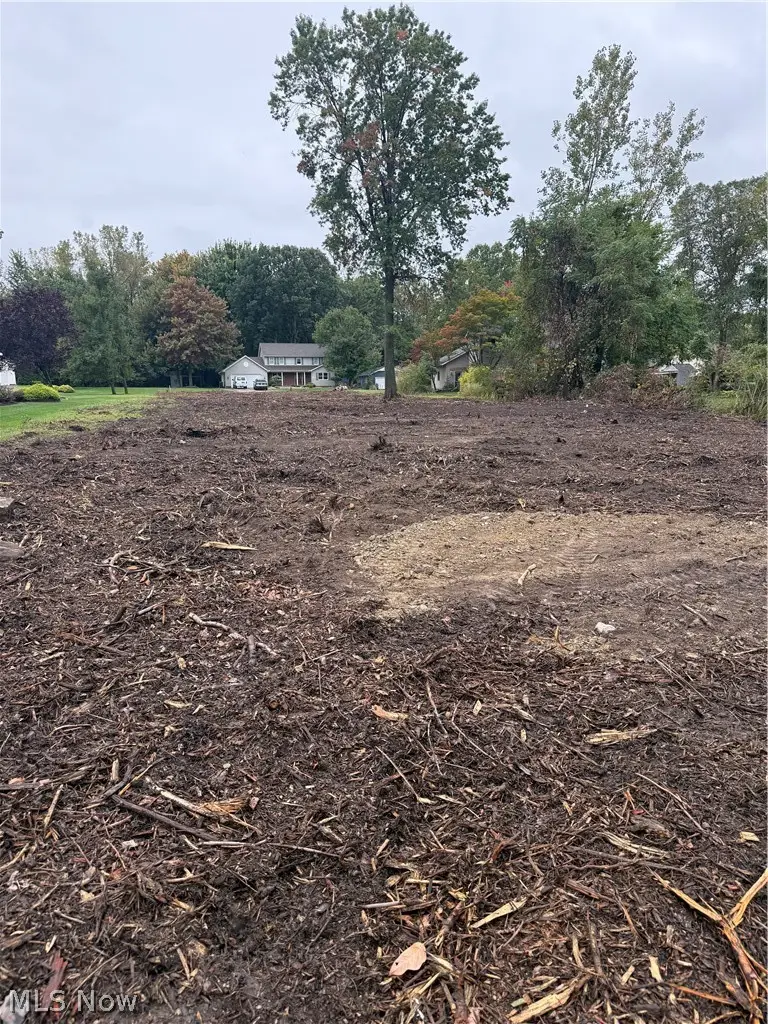 VL Falling Rock Lane, Painesville, OH 44077 - #3