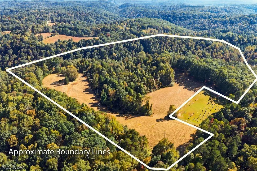 202 Mount Carmel Rd, Walker, WV 26180 - #1