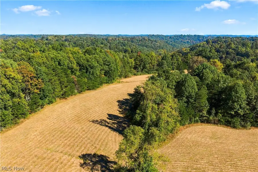 202 Mount Carmel Rd, Walker, WV 26180 - #2