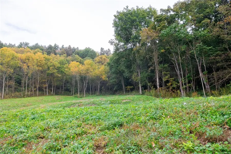 County Road 24 Road, Warsaw, OH 43844 - #3