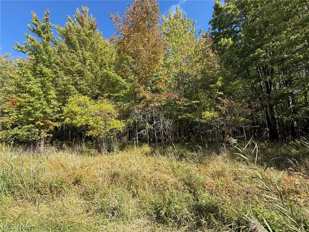 V/L 1 Trask Road, Leroy, OH 44086 - #1
