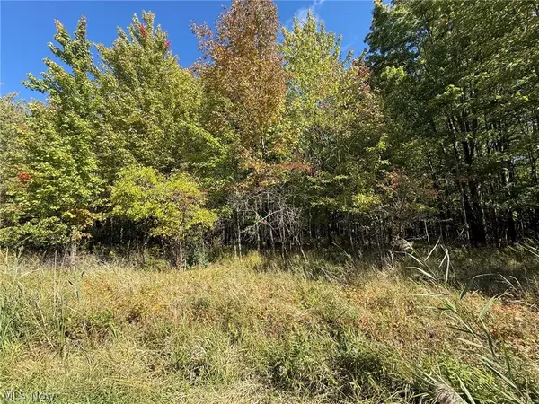 V/L 1 Trask Road, Leroy, OH 44086