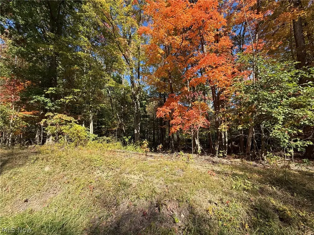 V/L 3 Trask Road, Leroy, OH 44086 - #1