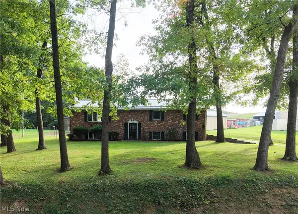 1288 Amsterdam Se Road, Scio, OH 43988