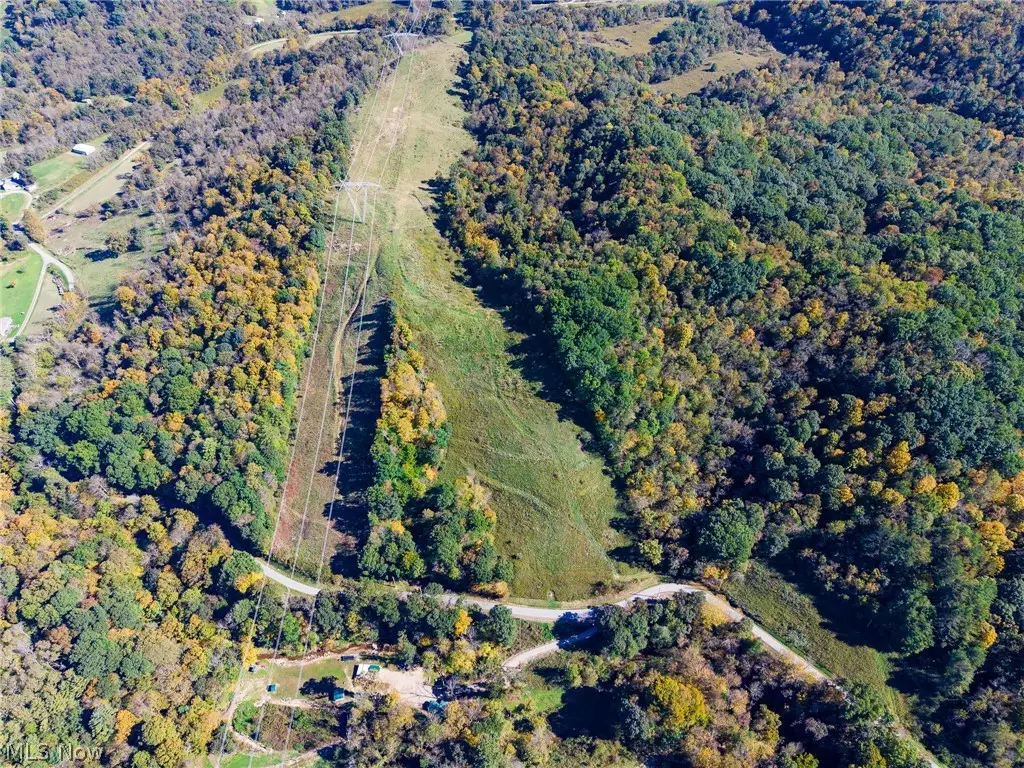 Crabapple Road, Alledonia, OH 43902 - #1