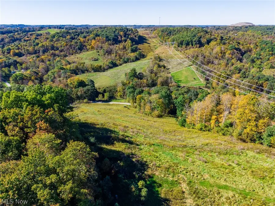 Crabapple Road, Alledonia, OH 43902 - #3