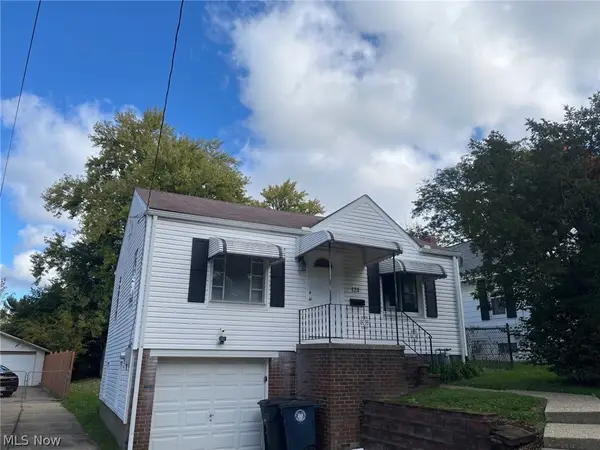 123 E Rosewood Avenue, Akron, OH 44301