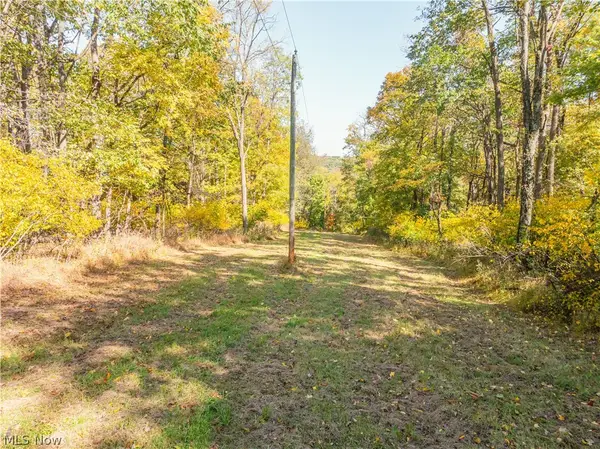 Tr 228, Glenmont, OH 44628