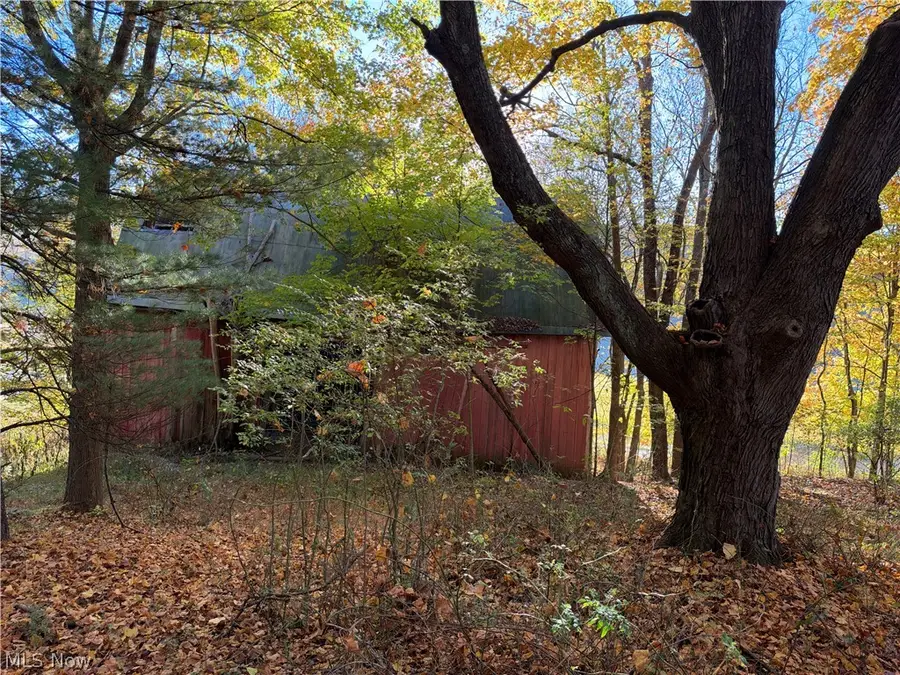 9239 Angel Valley Sw Road, Stone Creek, OH 43840 - #3