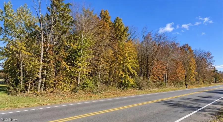 Mcclintocksburg Road, Diamond, OH 44412 - #2