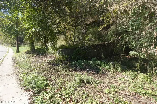 National Rd, Bridgeport, OH 43912