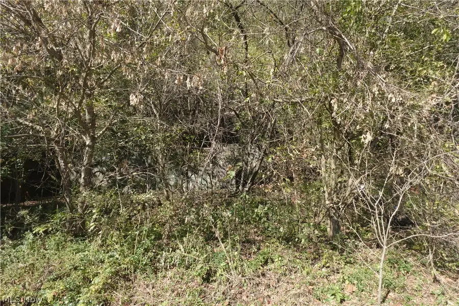 National Rd, Bridgeport, OH 43912 - #2