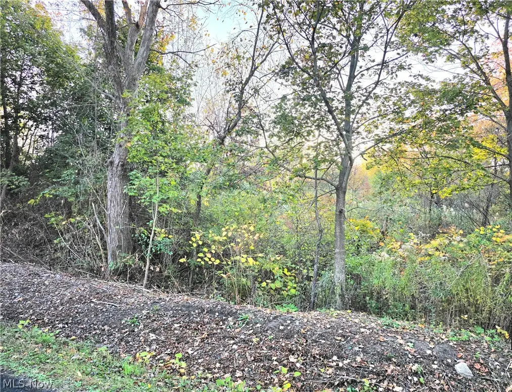 S Bender Avenue, Akron, OH 44319 - #1