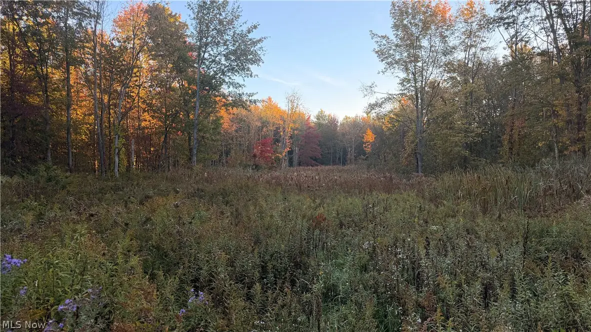Munson Hill Road, Ashtabula, OH 44004 - #1