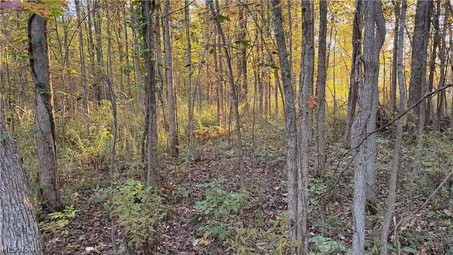 Munson Hill Road, Ashtabula, OH 44004 - #3