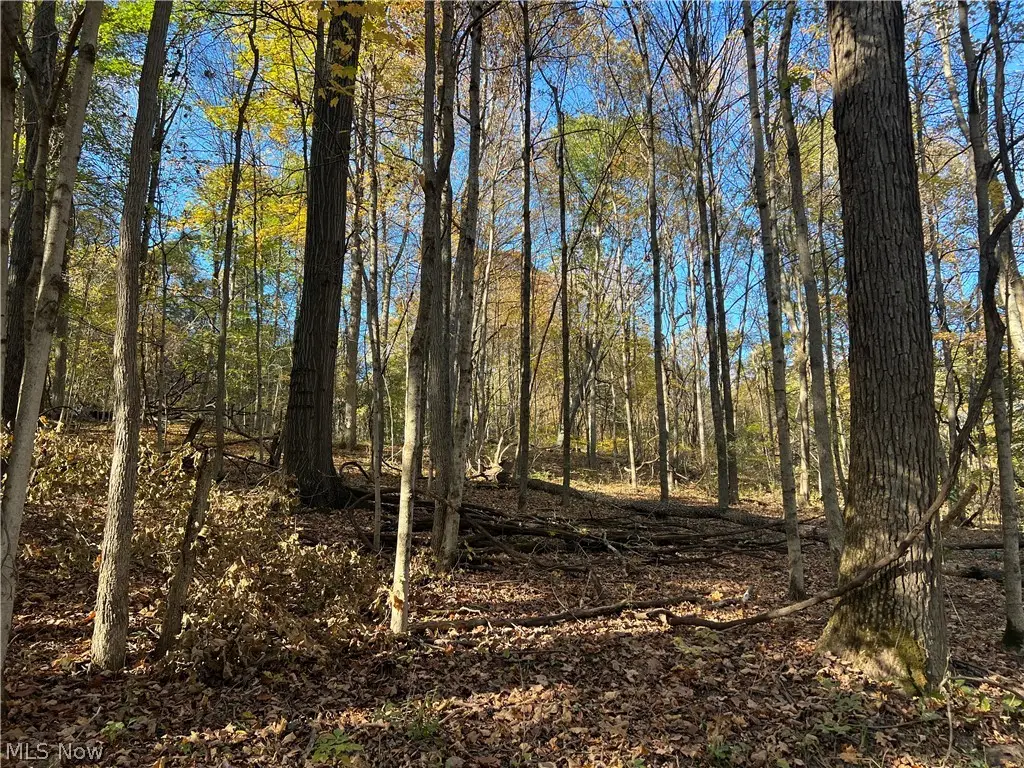 41272 Township Road 78, Coshocton, OH 43812 - #1