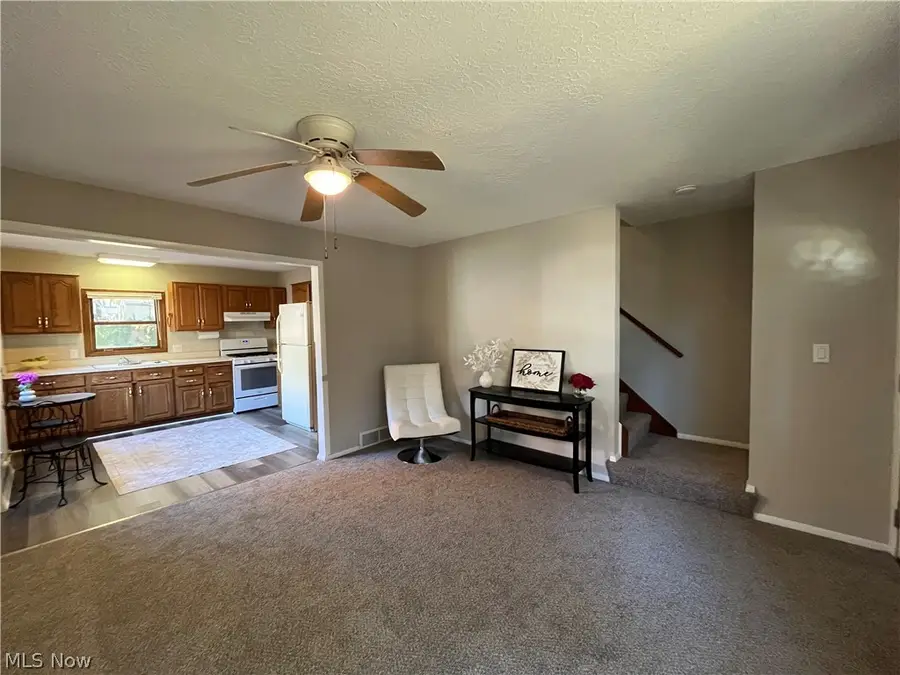 877 Burbank Avenue, Akron, OH 44305 - #3