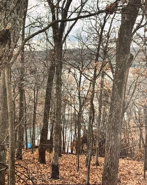 Lot 36 Blk 2 Pheasant Circle, Afton, OK 74331