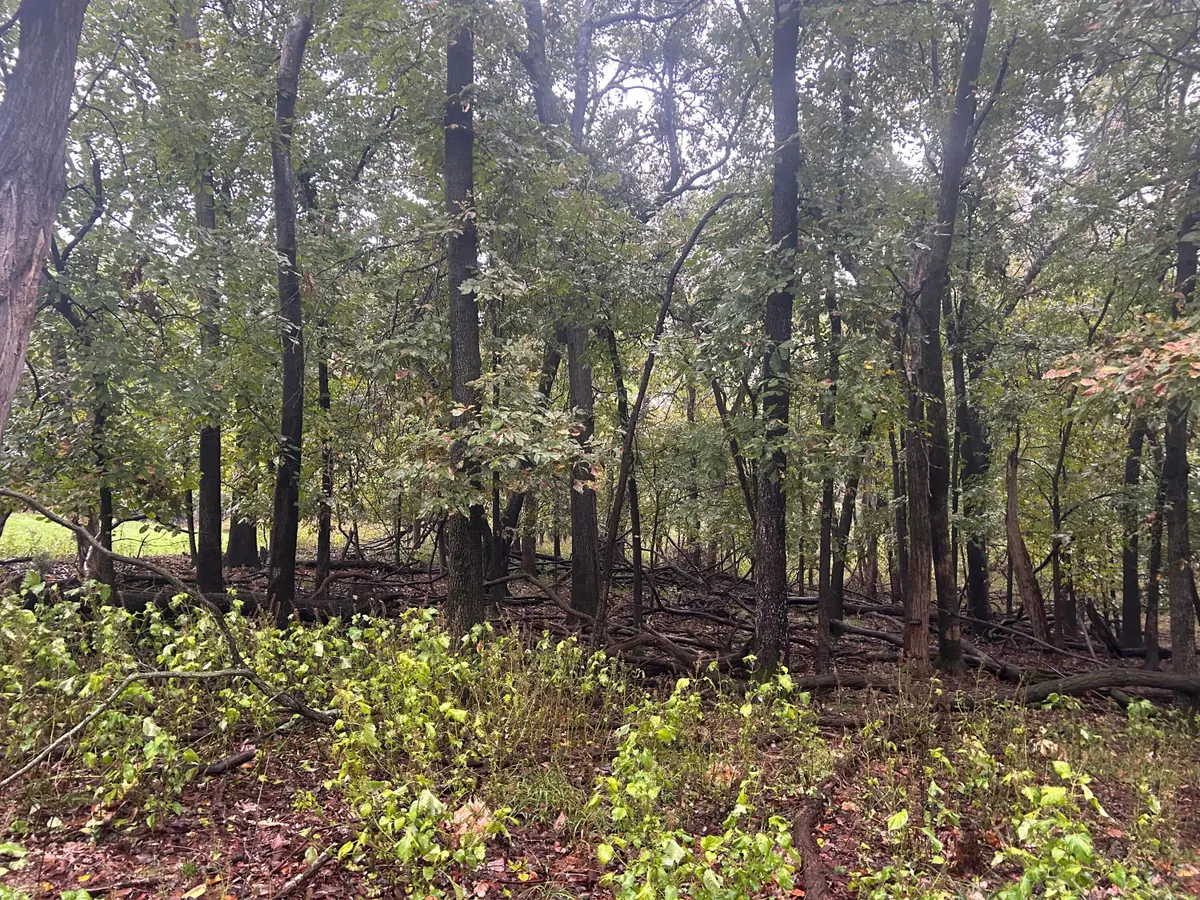 Blue Grouse Drive, Afton, OK 74331 - Image #1