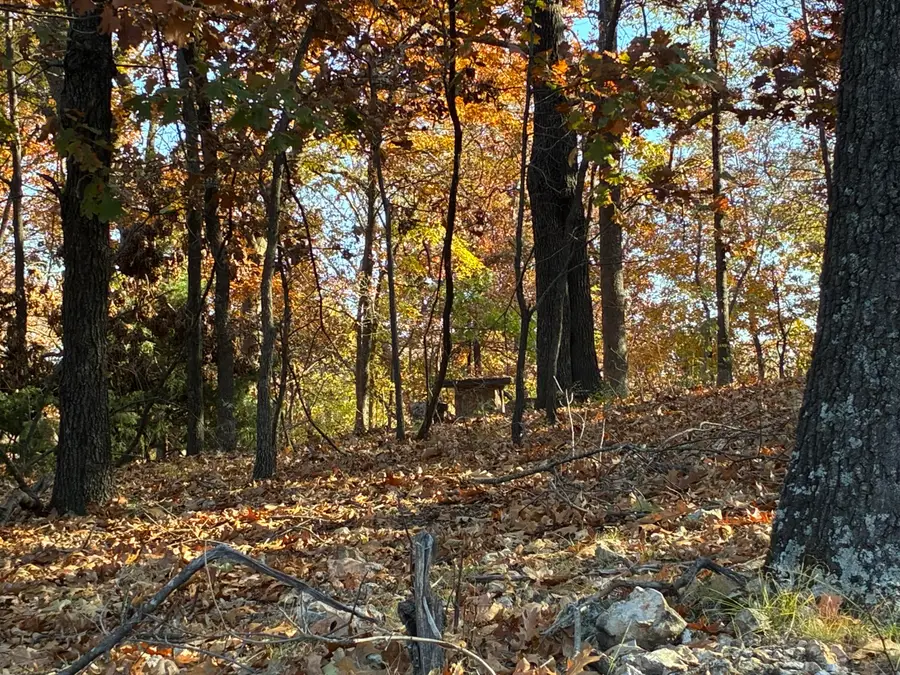 Lot 109 Moonlight Circle, Eucha, OK 74342 - Image #3