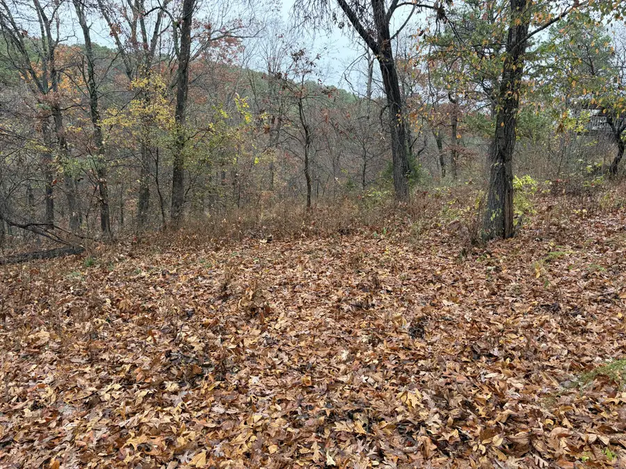 32981 S 597 Road, Grove, OK 74344 - Image #2