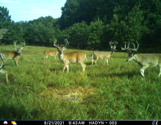 36293 S 565 Road, Jay, OK 74346 - Image #1