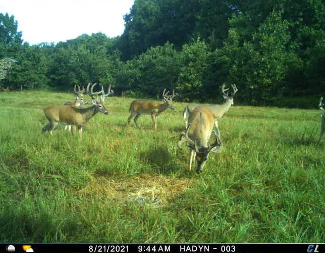 36293 S 565 Road, Jay, OK 74346 - Image #3