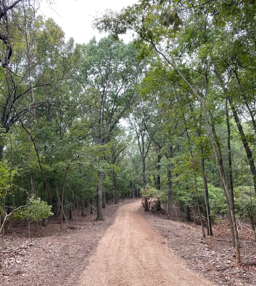 (Parcel 1) E 355 Road, Jay, OK 74346 - Image #3