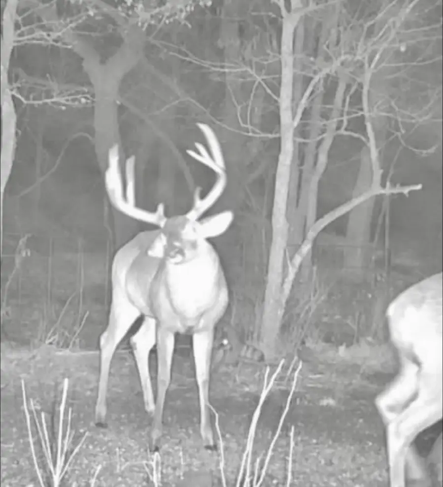 TBD 484 Road, Colcord, OK 74338 - Image #2