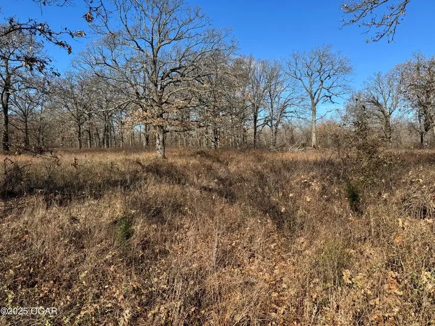 9479 S 670 Road, Wyandotte, OK 74370 - Image #3