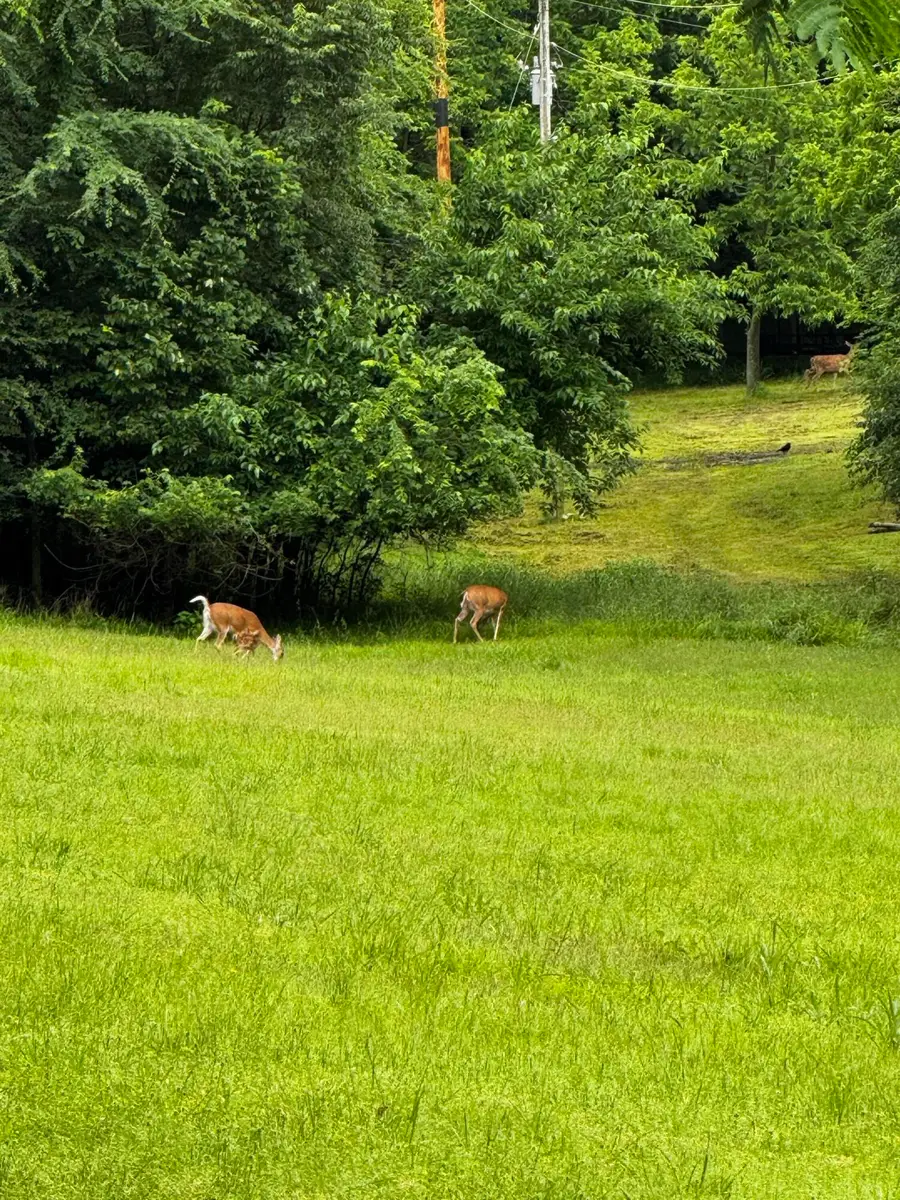 1305 Dubois, Grove, OK 74344 - Image #3