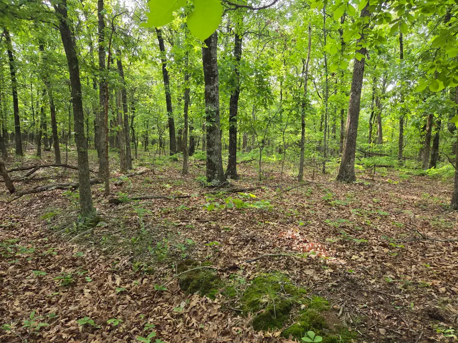County Road 358, Eucha, OK 74342 - #3