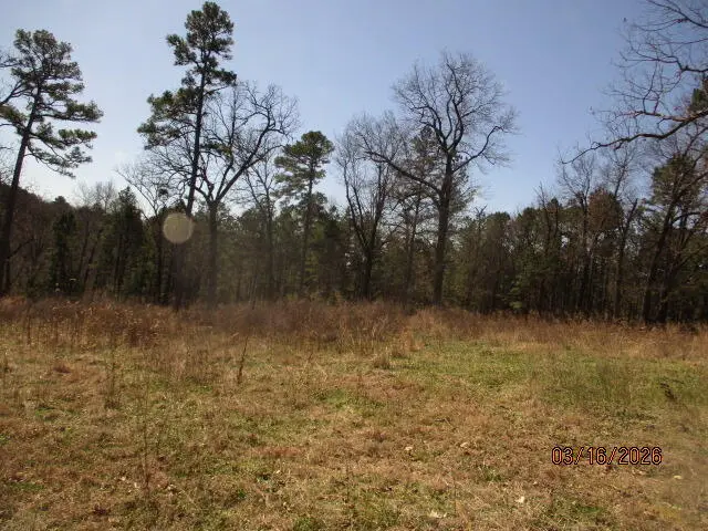 220 S Main Street, Jay, OK 74346 - #3