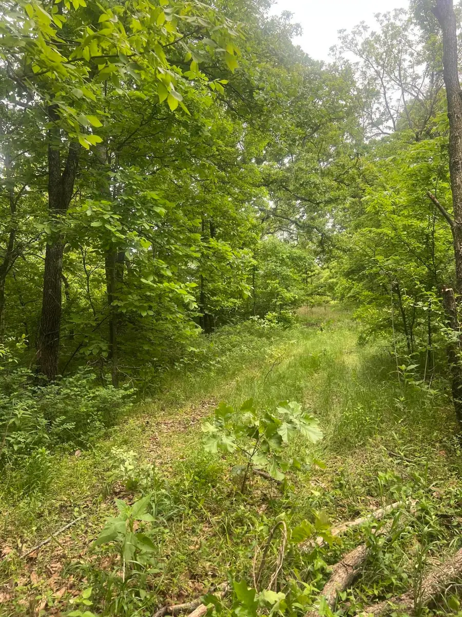 TBD Oklahoma 28, Eucha, OK 74342 - #2
