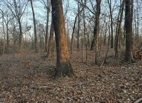 TBD S 543 Road, Eucha, OK 74342 - #2