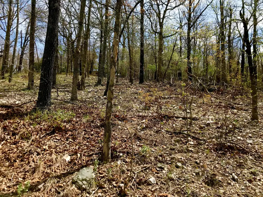 Tiawa Road, Eucha, OK 74342 - #2