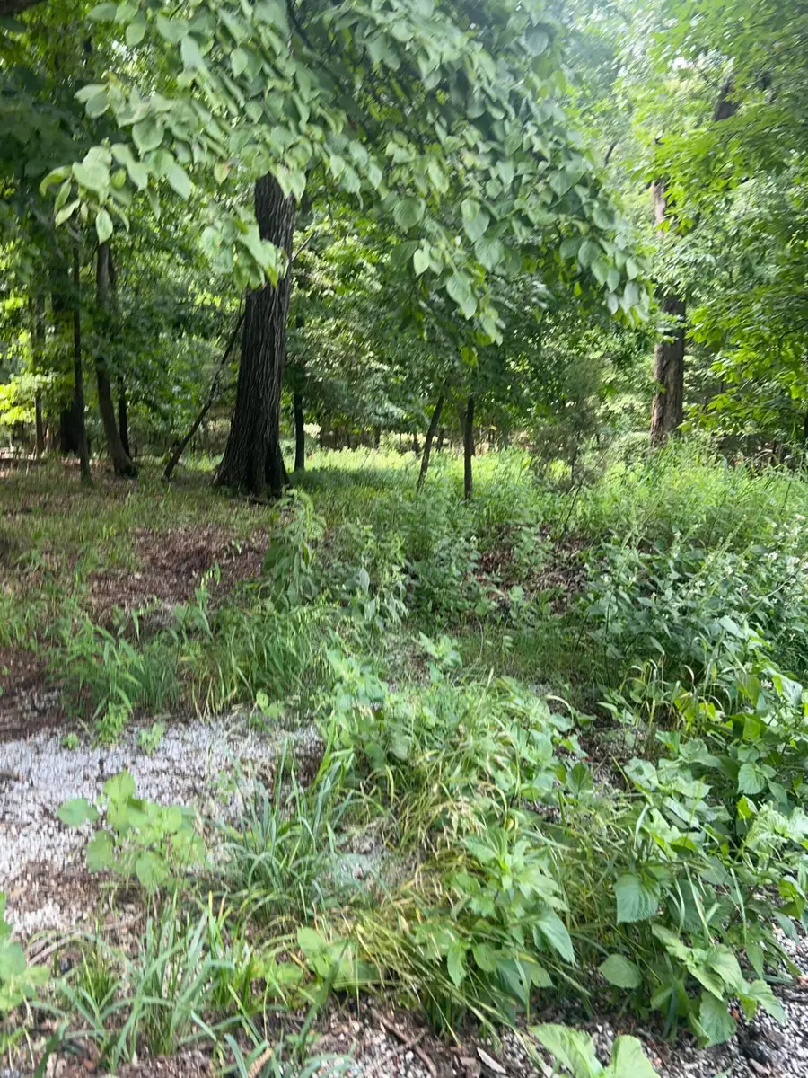 Pheasant Place, Afton, OK 74331 - #2