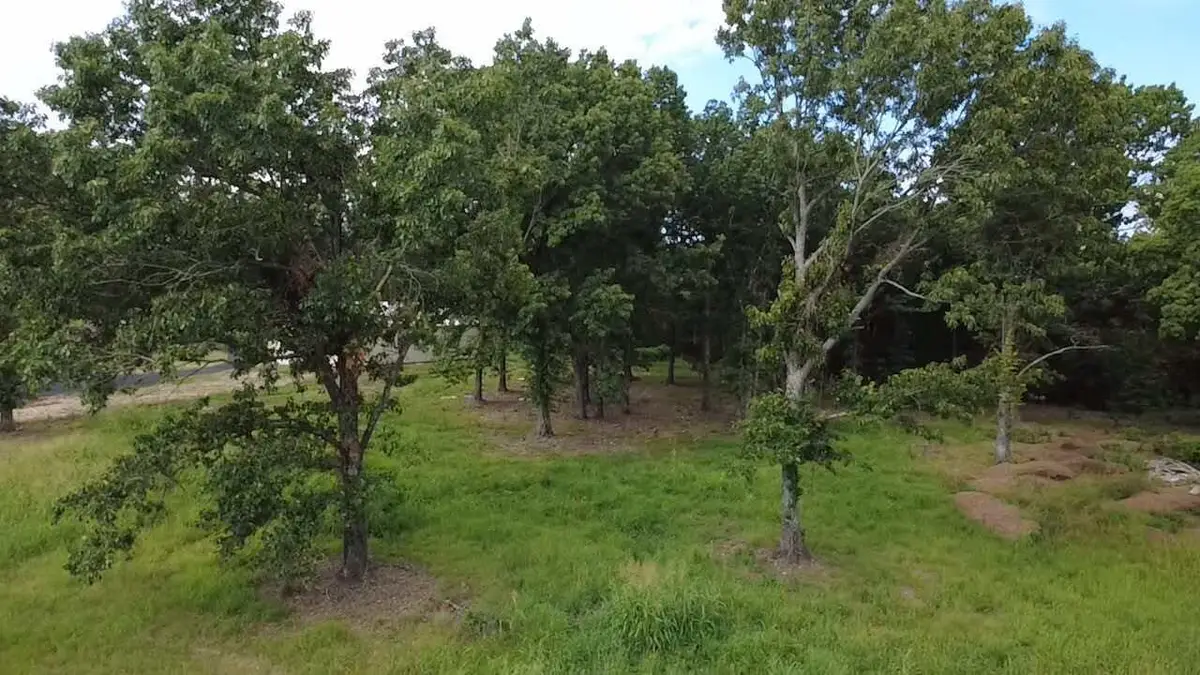 TBD S 619 Road, Grove, OK 74344 - #1