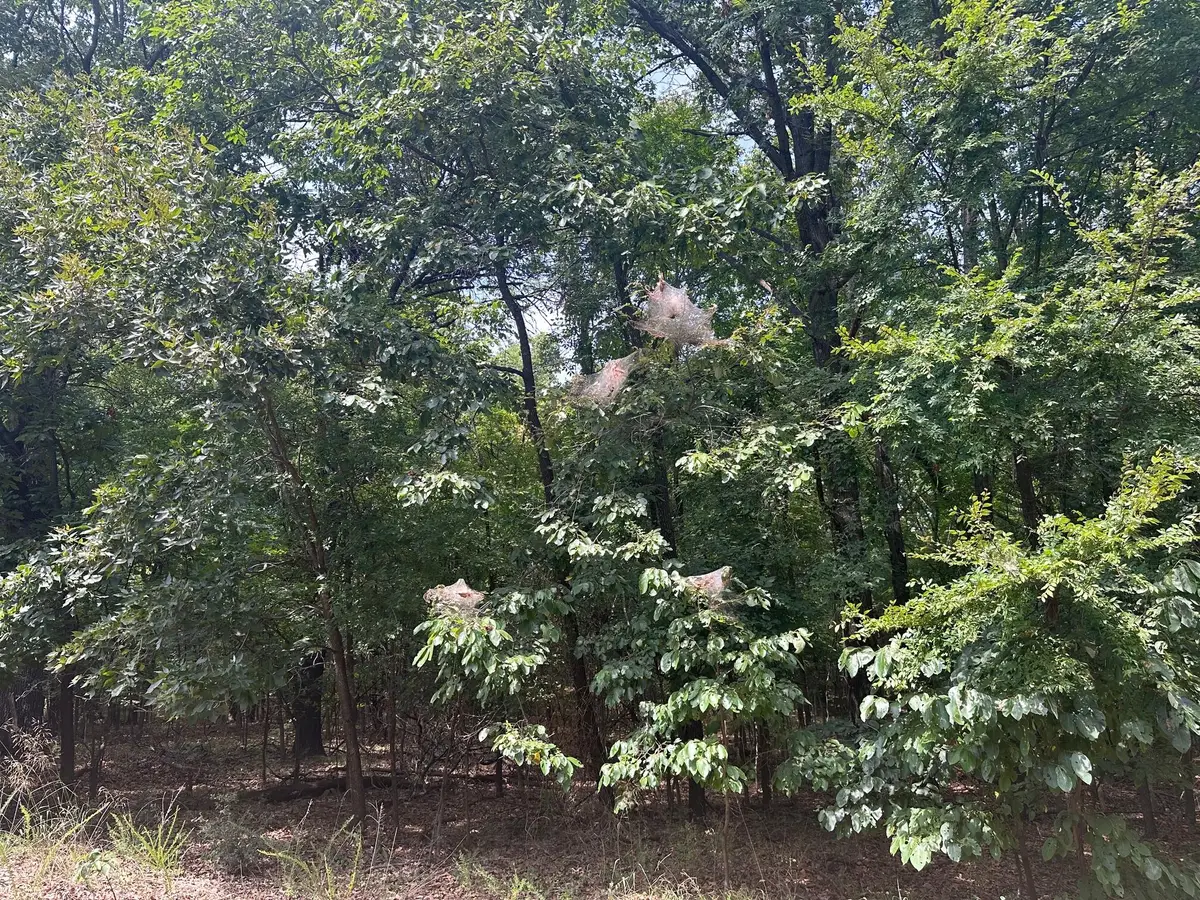 S 550 Road, Afton, OK 74331 - #1