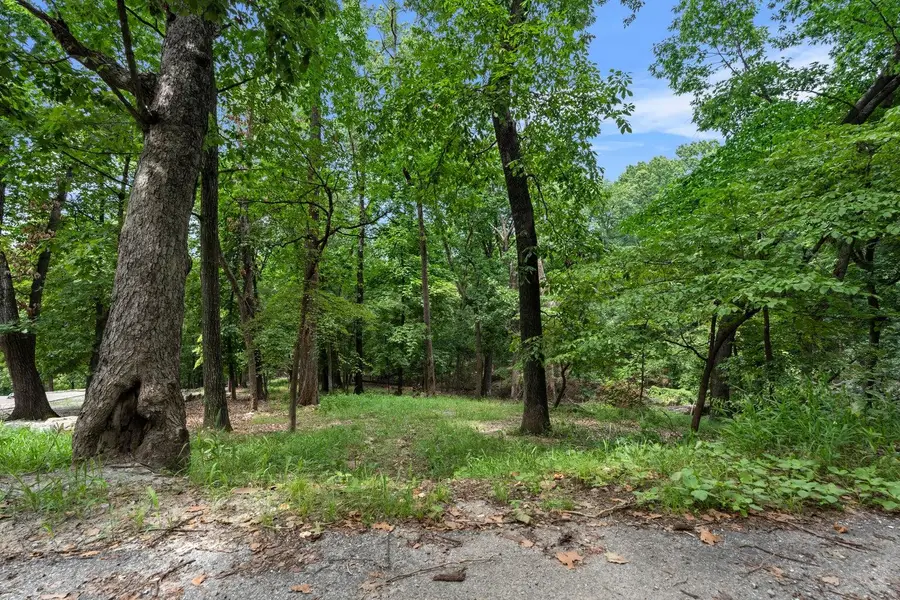 TBD Pheasant Circle Lot 56 Block 2, Afton, OK 74331 - #2