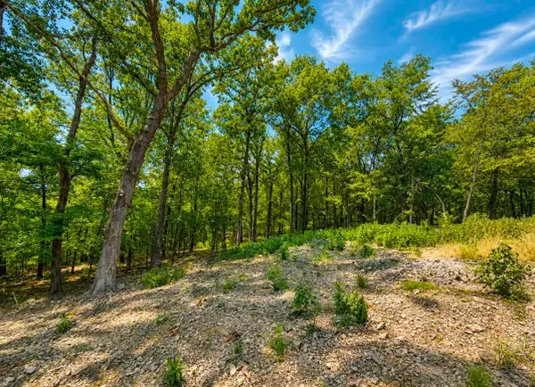 TBD S 550 Road, Jay, OK 74346