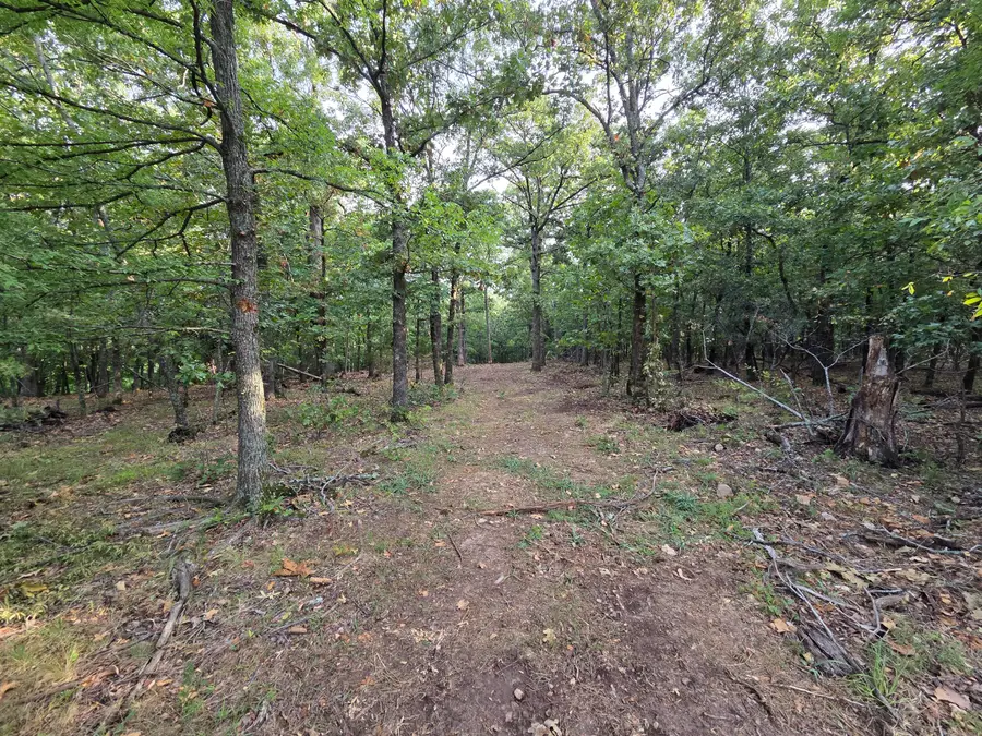 County Rd 358, Eucha, OK 74342 - #3