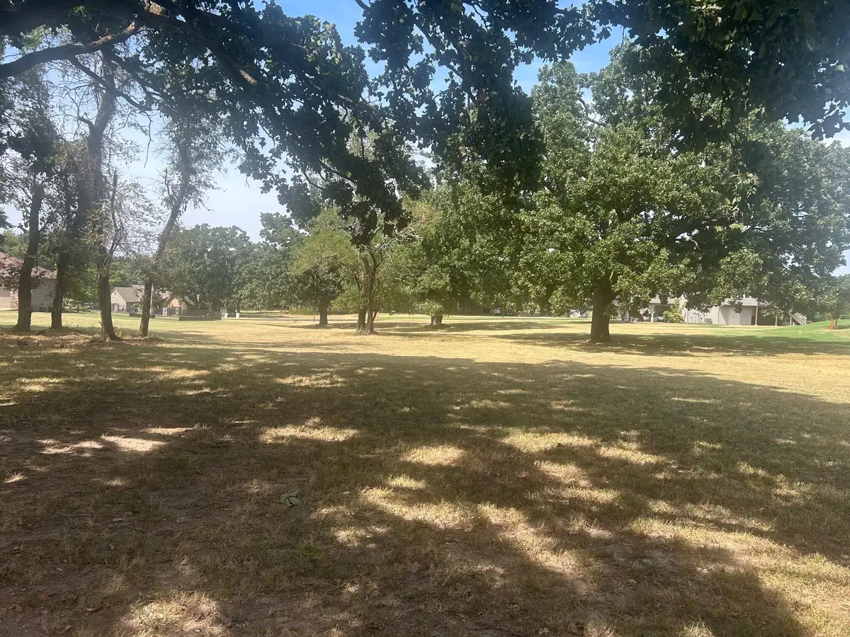 Mockingbird, Afton, OK 74331 - #1