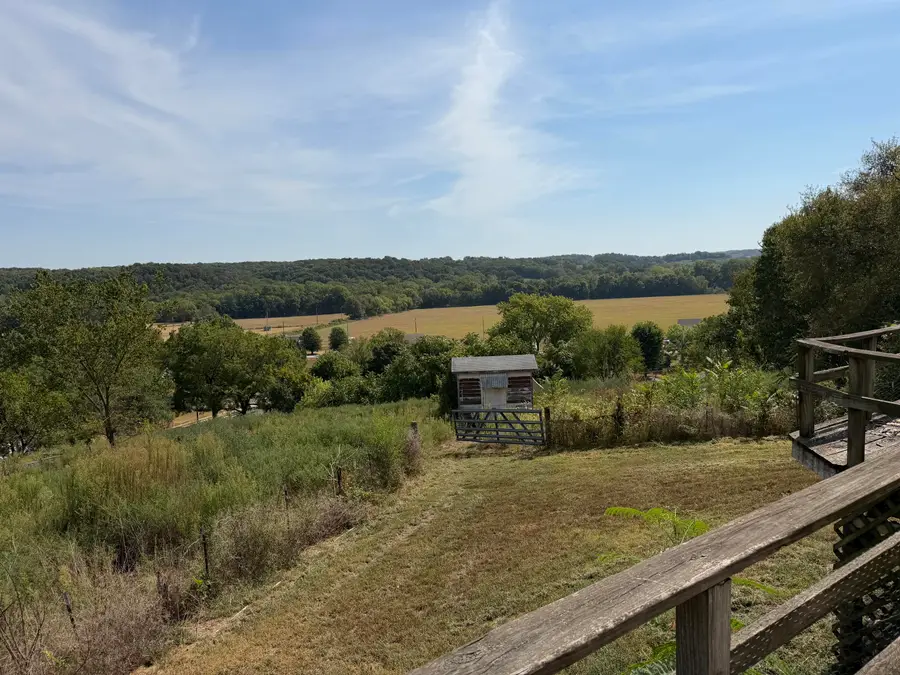 301 Granny Hill Road, Southwest City, MO 64863 - #2