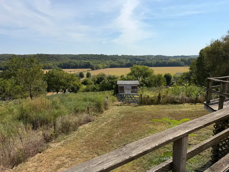 301 Granny Hill Road, Southwest City, MO 64863 - #3