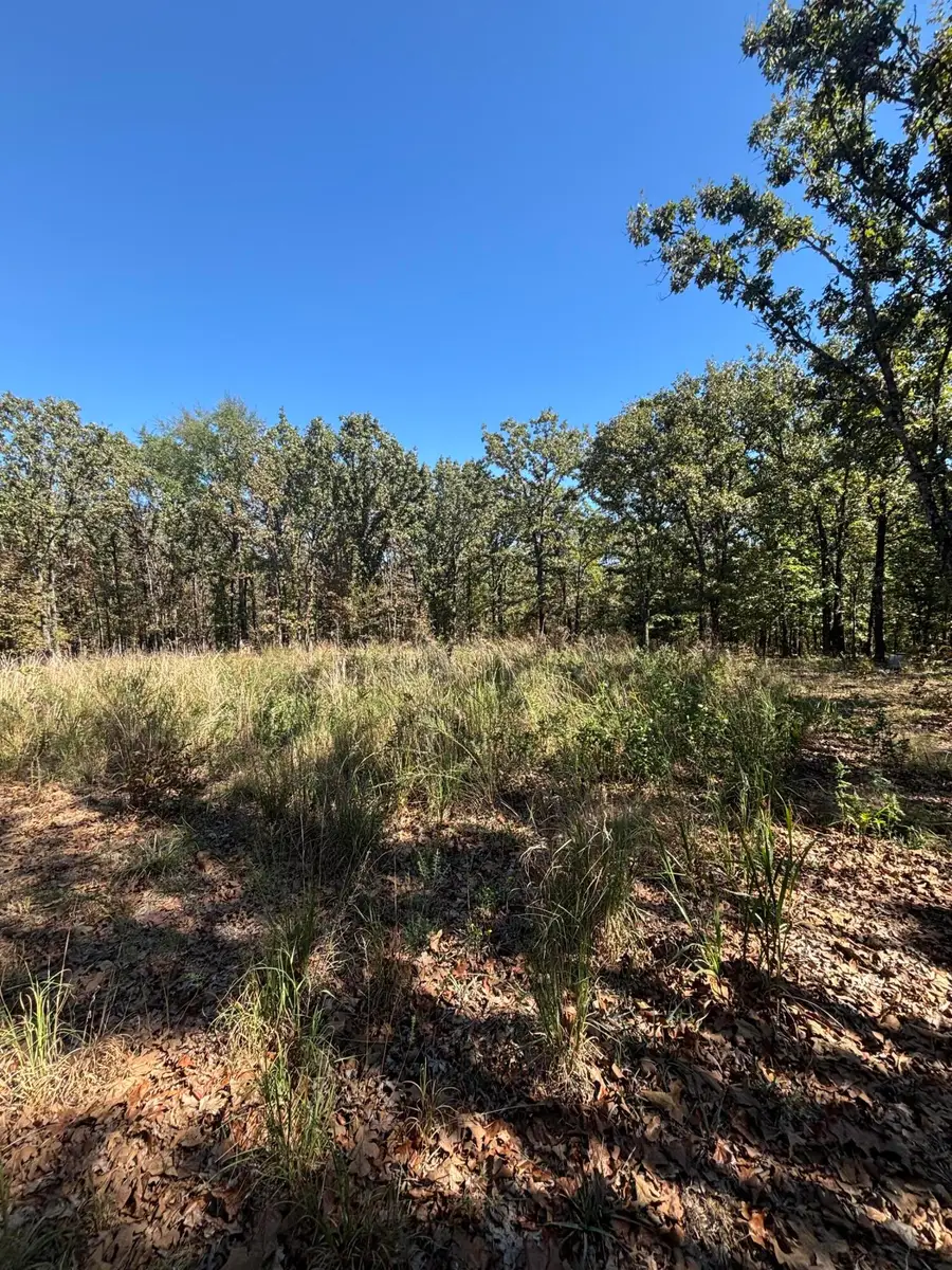 TBD 591 Road, Jay, OK 74346 - #2