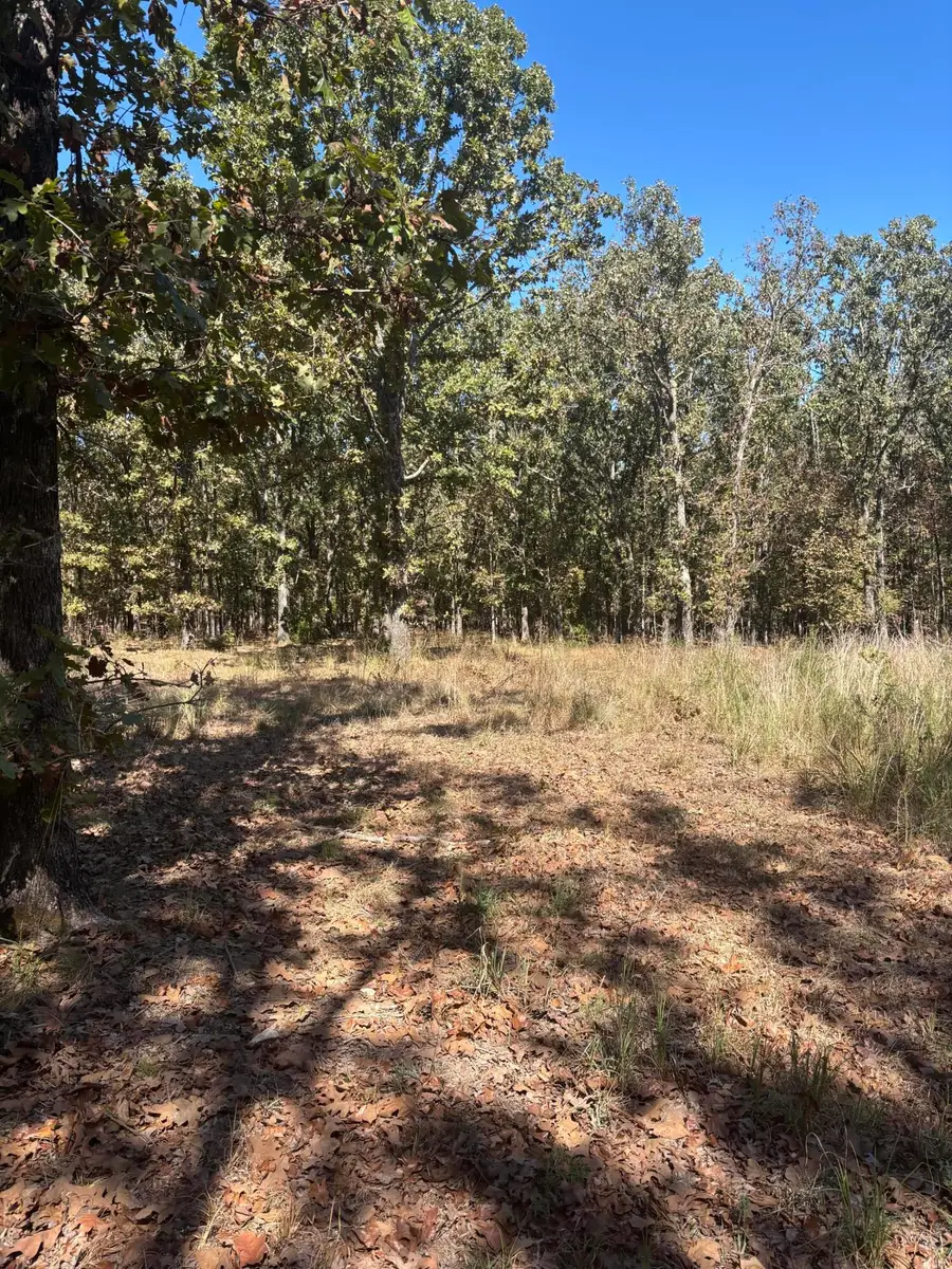 TBD 591 Road, Jay, OK 74346 - #3