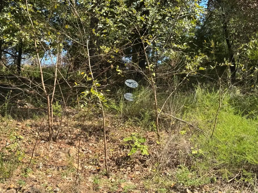 Lot 50 S 598 Ridge, Grove, OK 74344 - #2