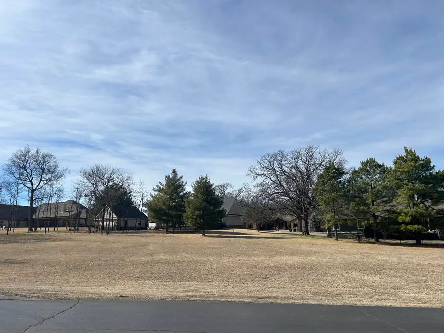 Cardinal Circle, Afton, OK 74331 - #3