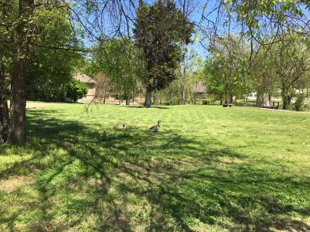 4971 Lighthouse Springs Drive, Grove, OK 74344 - #3